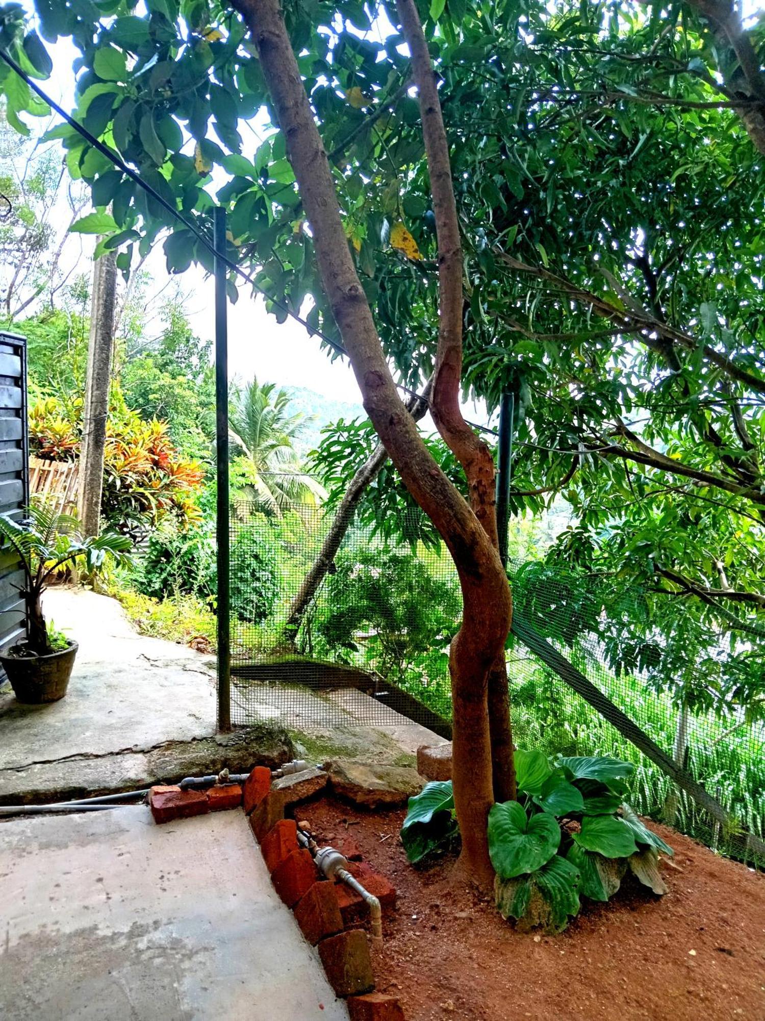 Fly Infinity - Home Stay Kandy Ngoại thất bức ảnh
