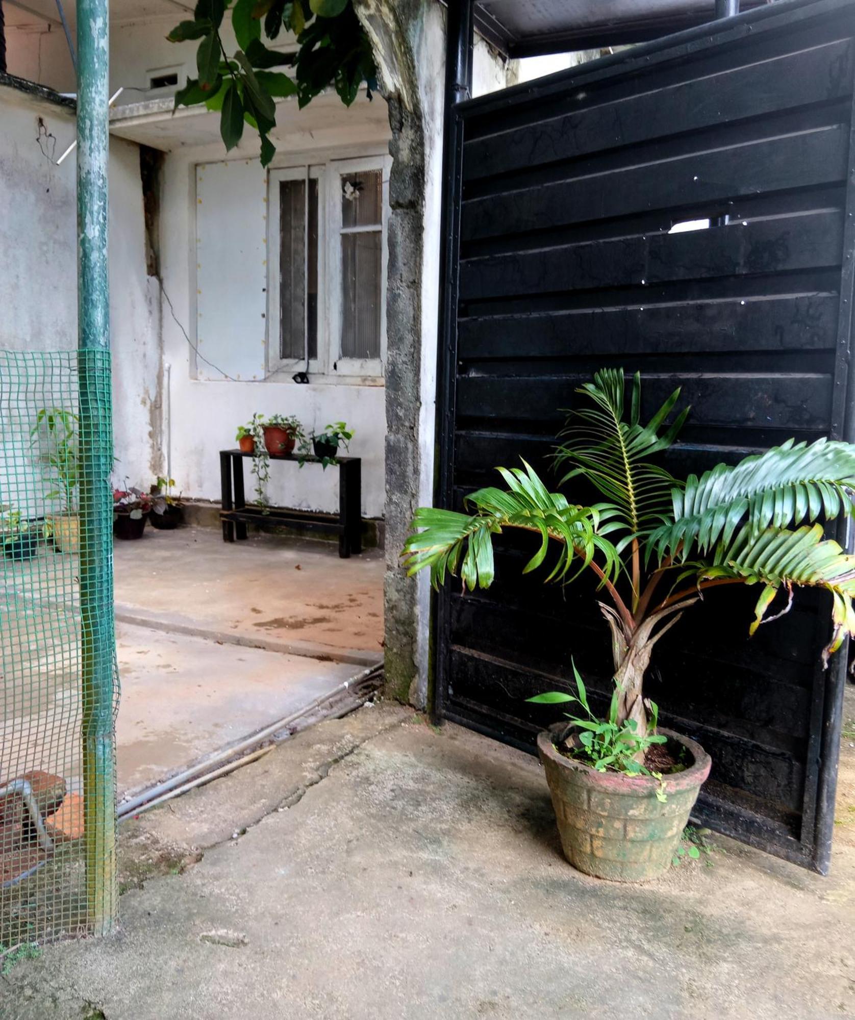 Fly Infinity - Home Stay Kandy Ngoại thất bức ảnh